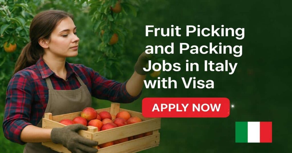 Fruit Picking and Packing Jobs in Italy with Visa