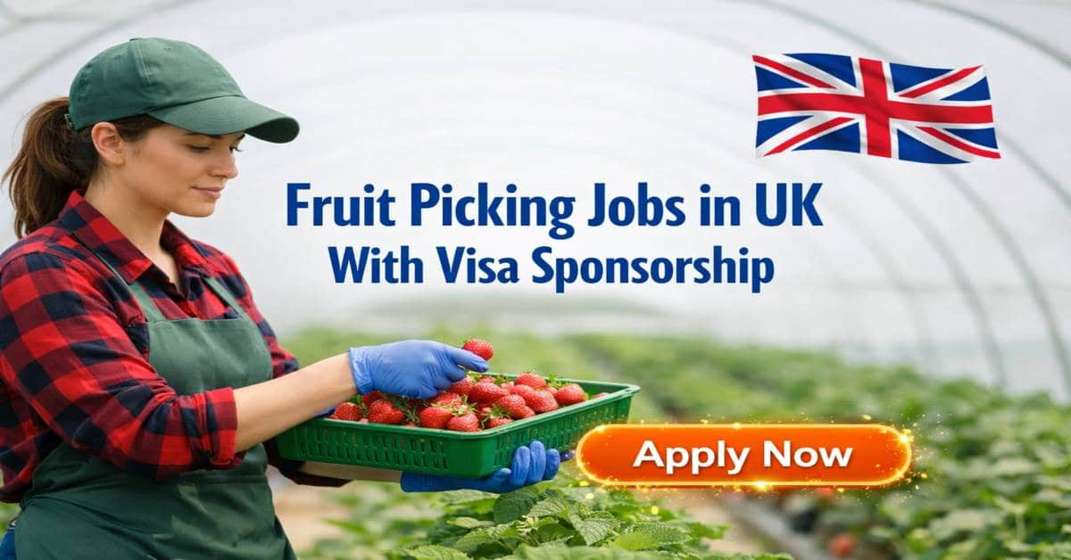 Fruit picking jobs in UK With Visa Sponsorship