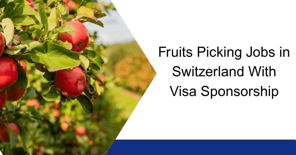 Fruits Picking Jobs in Switzerland