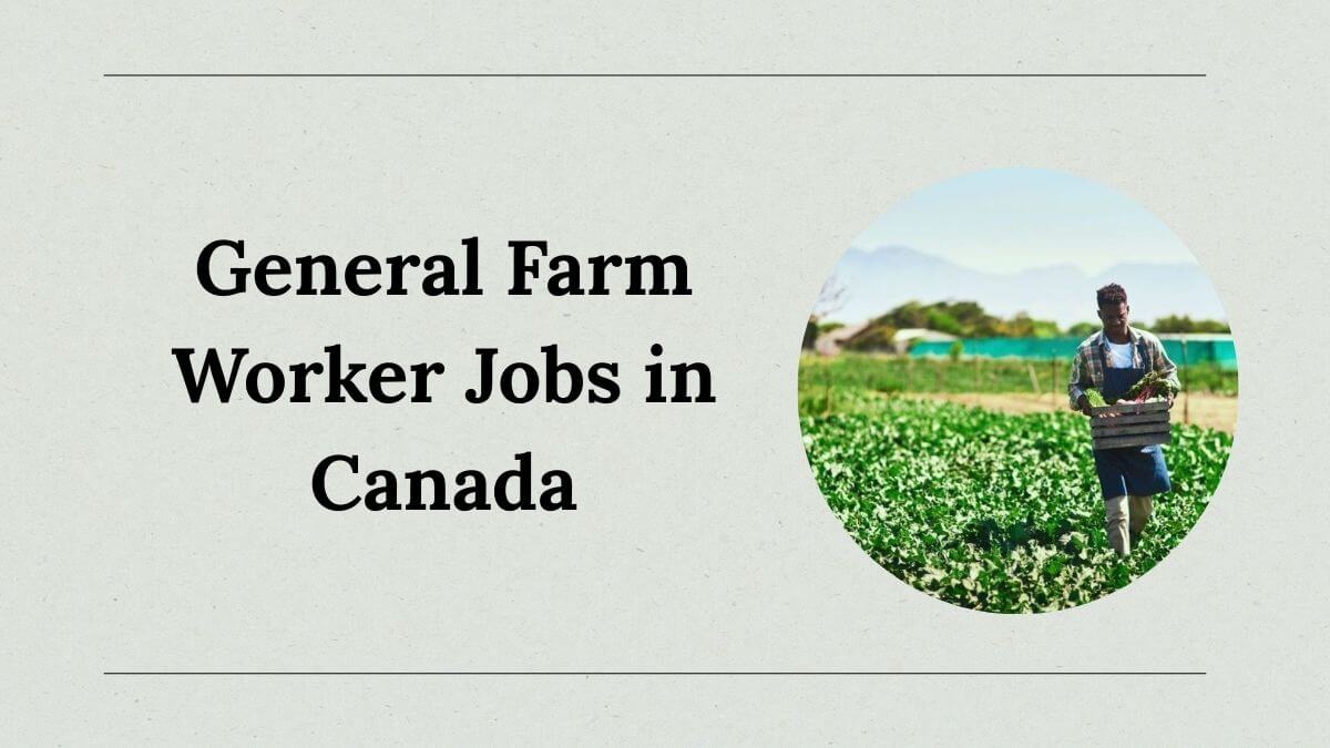 General Farm Worker Jobs in Canada