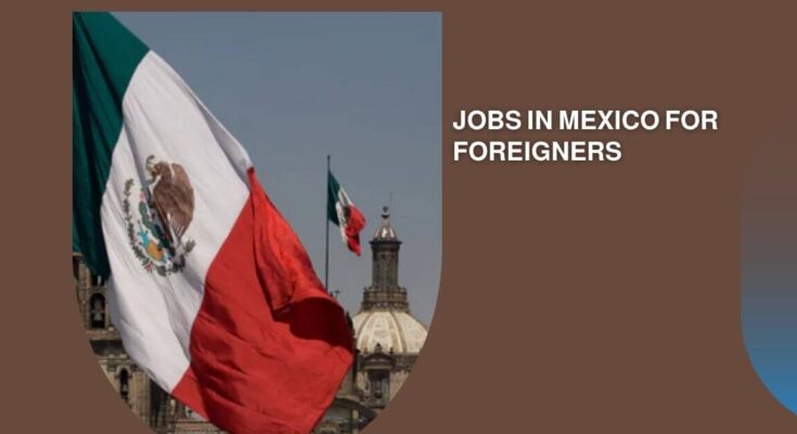 Jobs In Mexico For Foreigners