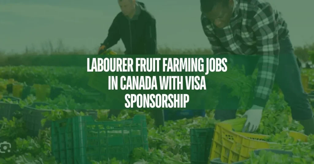 Labourer Fruit Farming Jobs in Canada