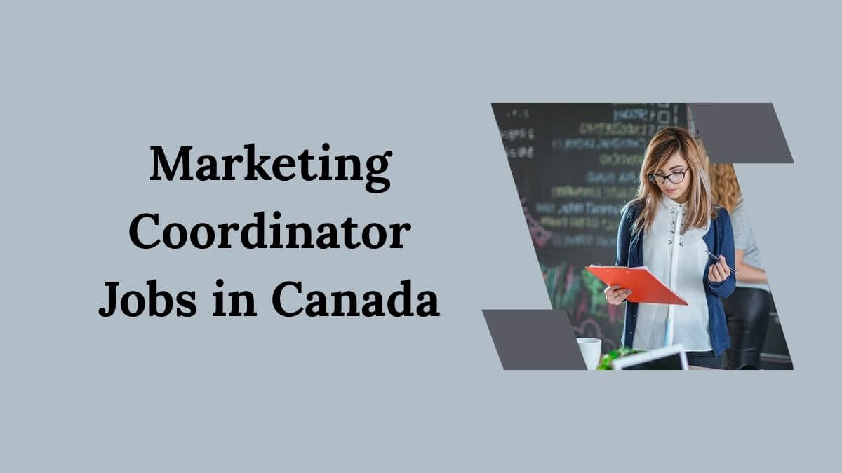 Marketing Coordinator Jobs in Canada