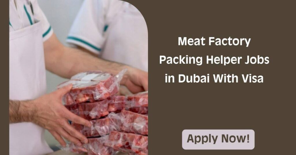 Meat Factory Packing Helper Jobs in Dubai With Visa