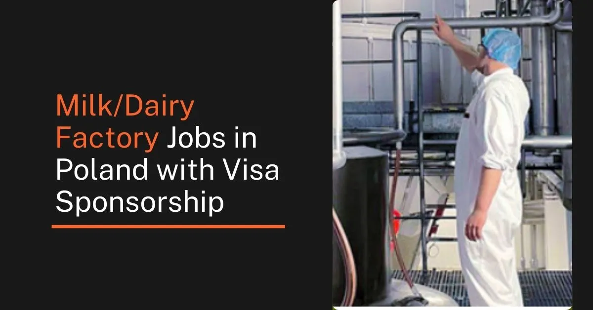 Milk/Dairy Factory Jobs in Poland