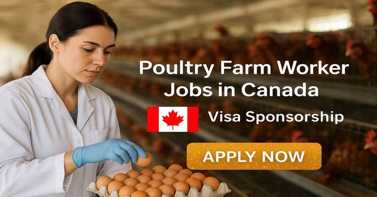 Poultry Farm Worker Jobs in Canada Visa Sponsorship
