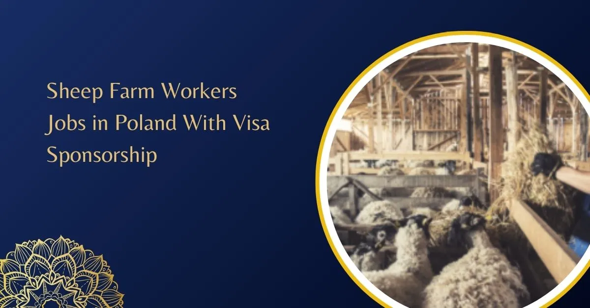 Sheep Farm Workers Jobs in Poland