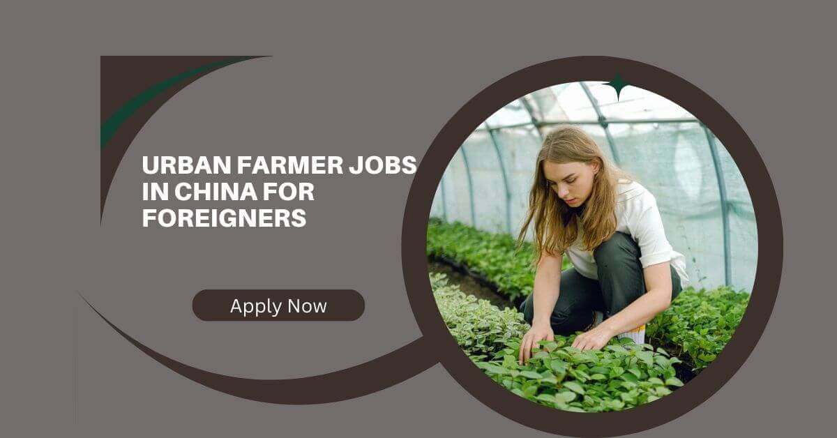 Urban Farmer Jobs in China for Foreigners