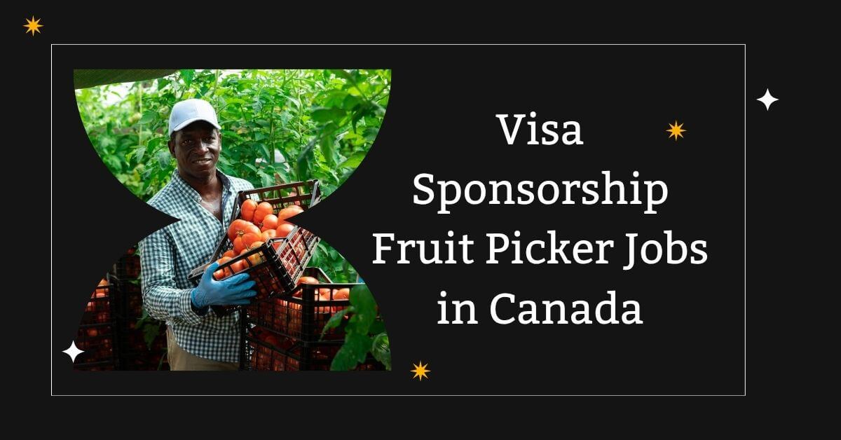 Visa Sponsorship Fruit Picker Jobs in Canada
