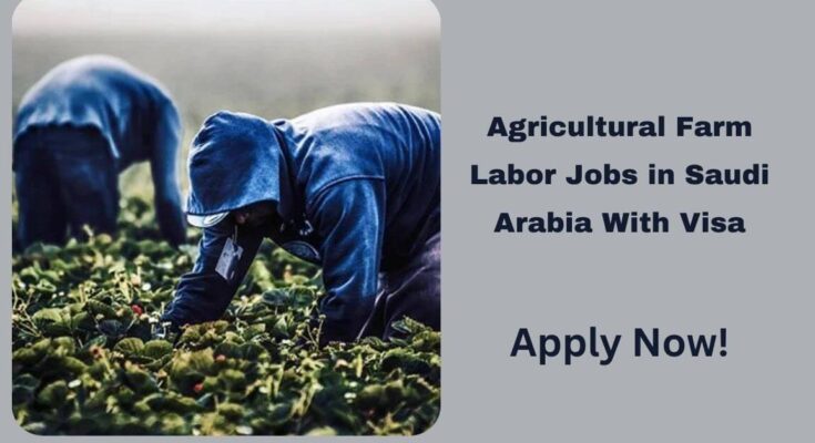 Agricultural Farm Labor Jobs in Saudi Arabia With Visa