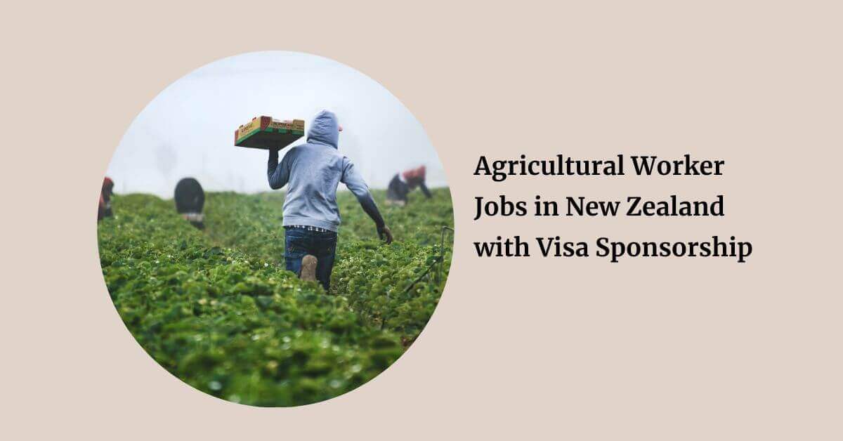 Agricultural Worker Jobs in New Zealand with Visa Sponsorship