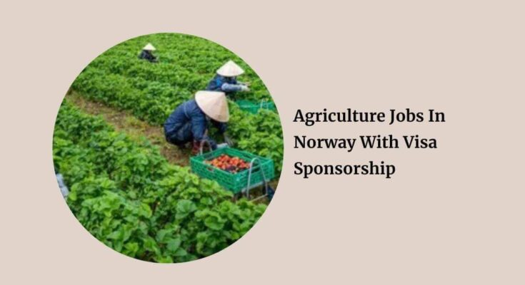 Agriculture Jobs In Norway With Visa Sponsorship