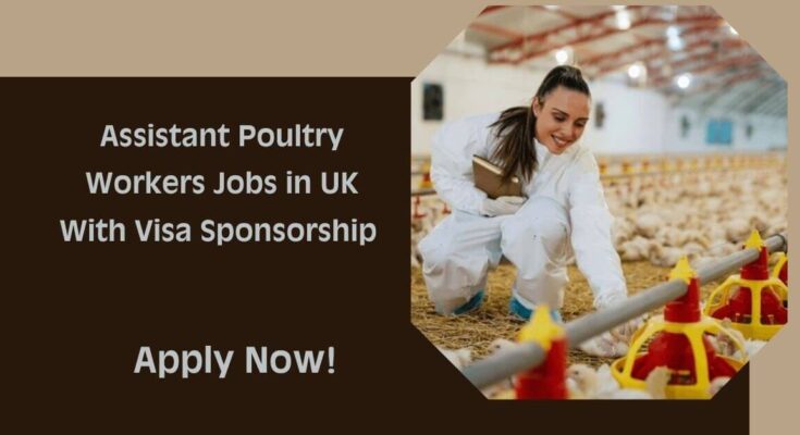 Assistant Poultry Workers Jobs in UK With Visa Sponsorship