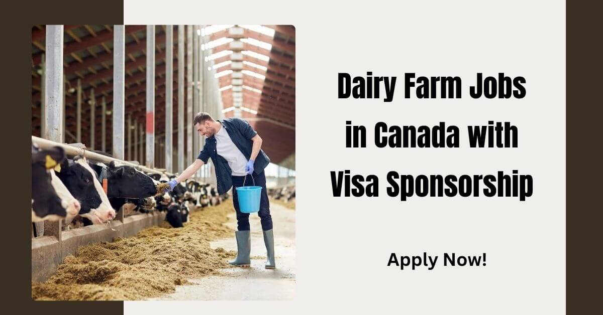 Dairy Farm Jobs in Canada with Visa Sponsorship