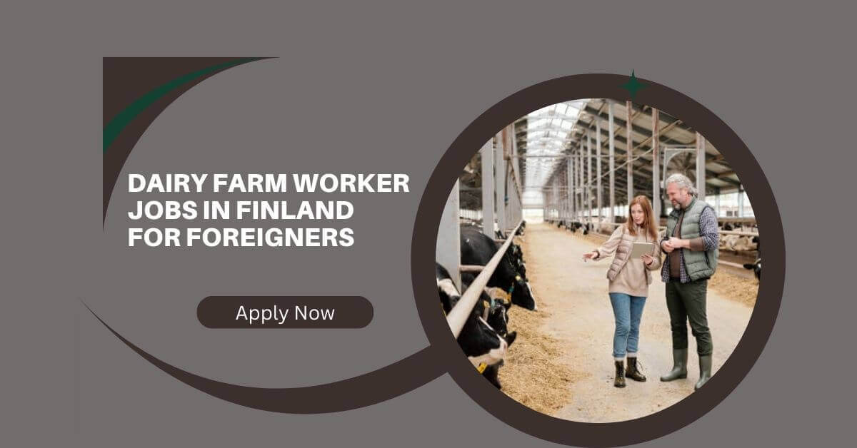 Dairy Farm Worker Jobs in Finland For Foreigners