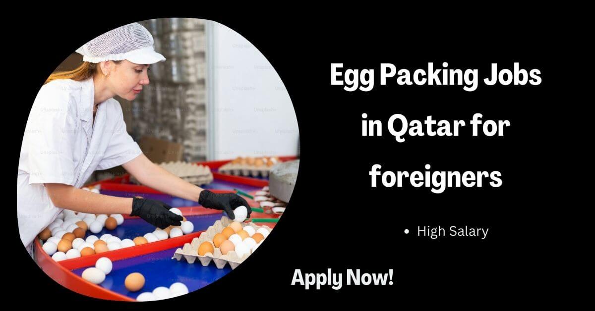 Egg Packing Jobs in Qatar for foreigners