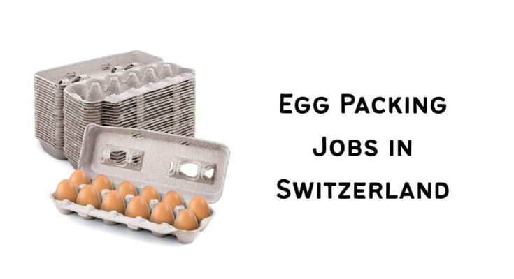 Egg Packing Jobs in Switzerland