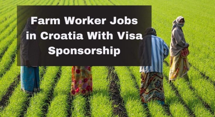 Farm Worker Jobs in Croatia With Visa Sponsorship