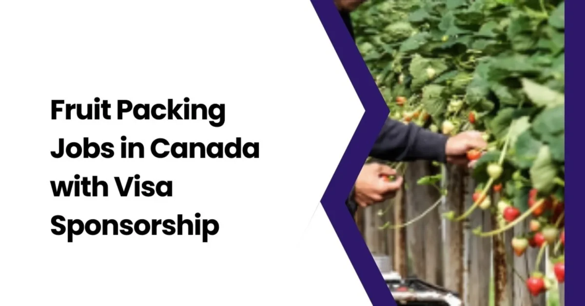 Fruit Packing Jobs in Canada