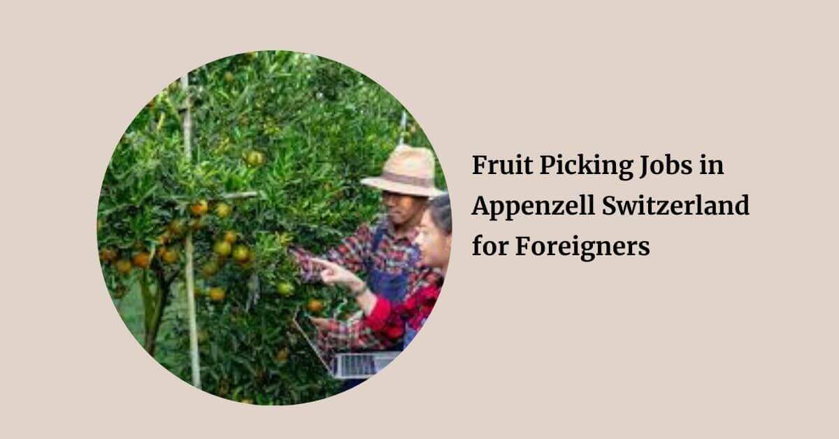 Fruit Picking Jobs in Appenzell Switzerland for Foreigners