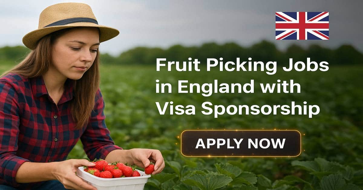 Fruit Picking Jobs in England with Visa Sponsorship