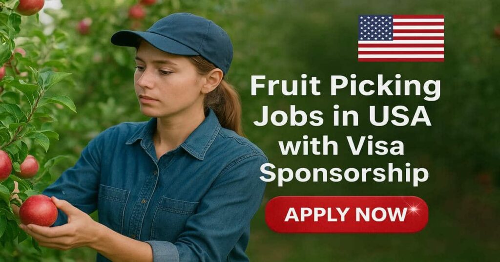 Fruit Picking Jobs in USA with Visa Sponsorship