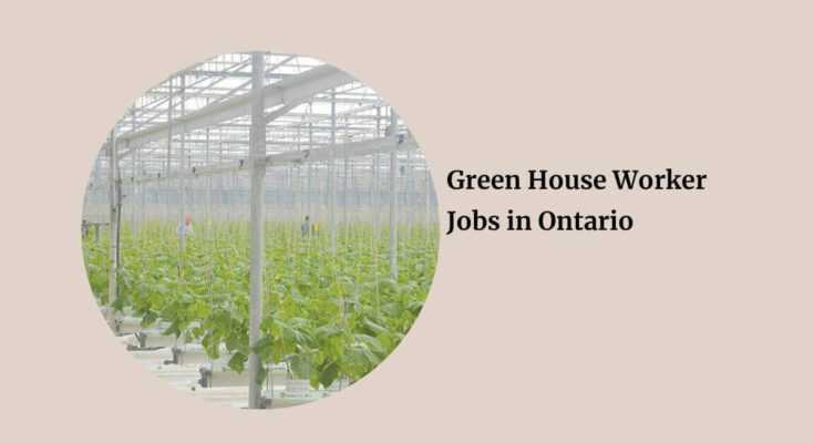 Green House Worker Jobs in Ontario