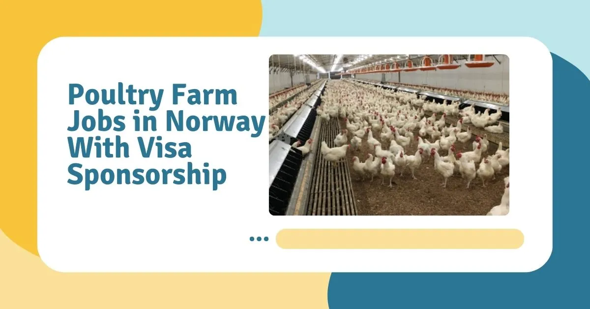 Poultry Farm Jobs in Norway