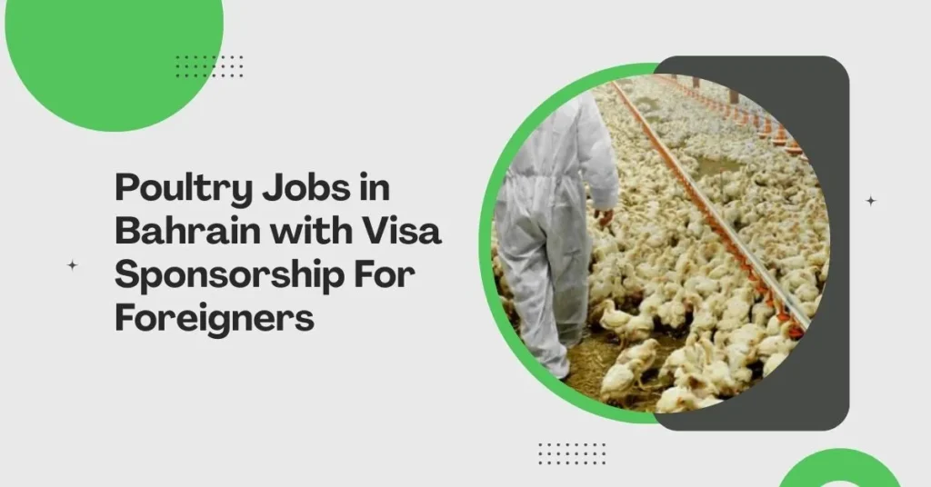 Poultry Jobs in Bahrain 