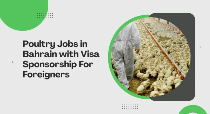 Poultry Jobs in Bahrain 
