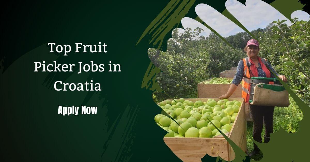 Top Fruit Picker Jobs in Croatia