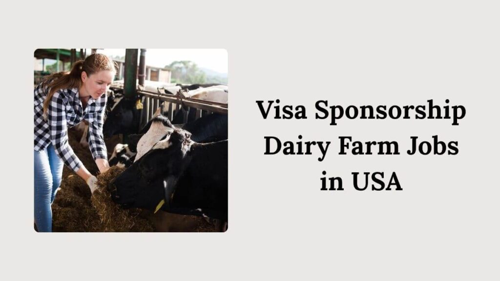 Visa Sponsorship Dairy Farm Jobs in USA