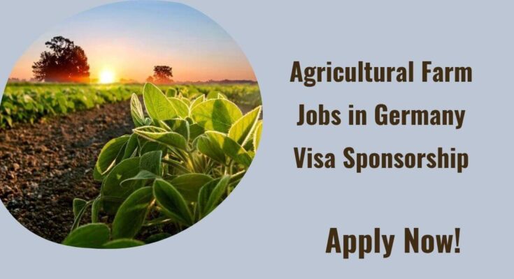 Agricultural Farm Jobs in Germany Visa Sponsorship