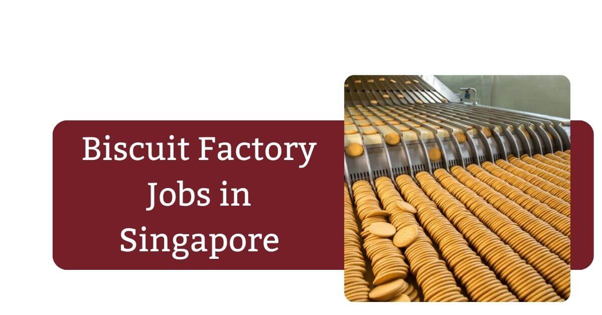 Biscuit Factory Jobs in Singapore
