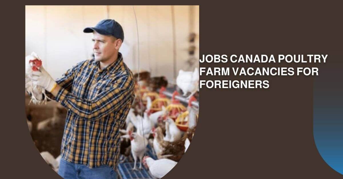 Canada Poultry Farm Vacancies for Foreigners