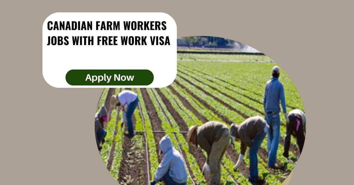 Canadian Farm Workers Jobs With Free Work VISA