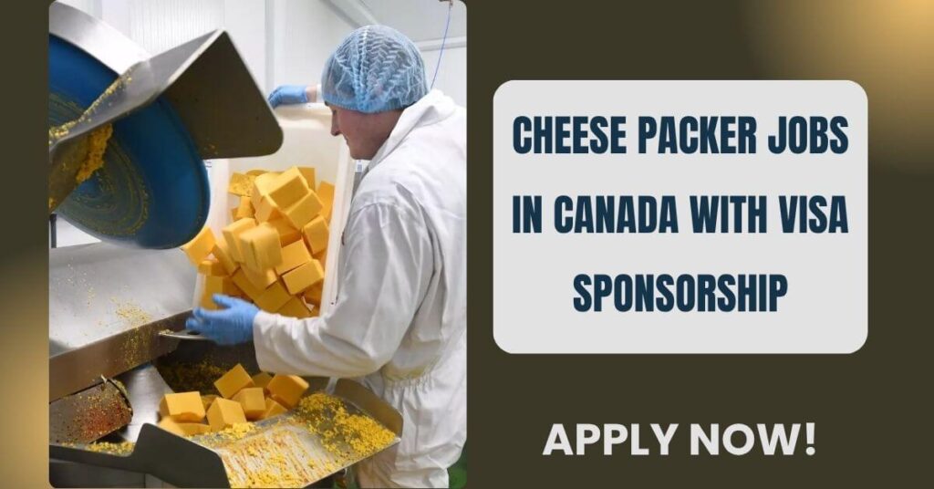 Cheese Packer Jobs in Canada