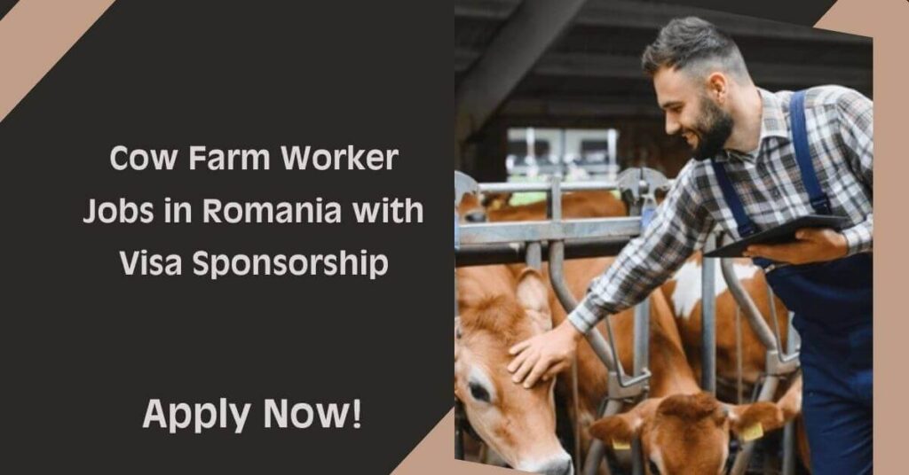 Cow Farm Worker Jobs in Romania with Visa Sponsorship