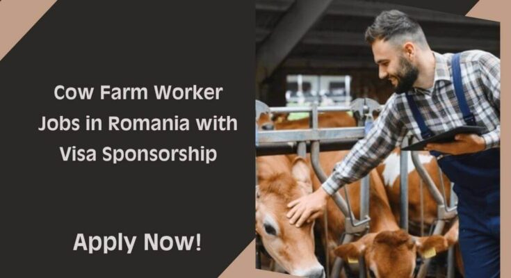 Cow Farm Worker Jobs in Romania with Visa Sponsorship