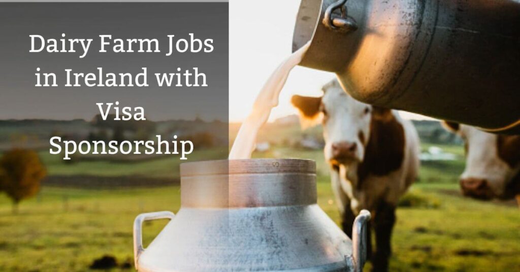 Dairy Farm Jobs in Ireland with Visa Sponsorship