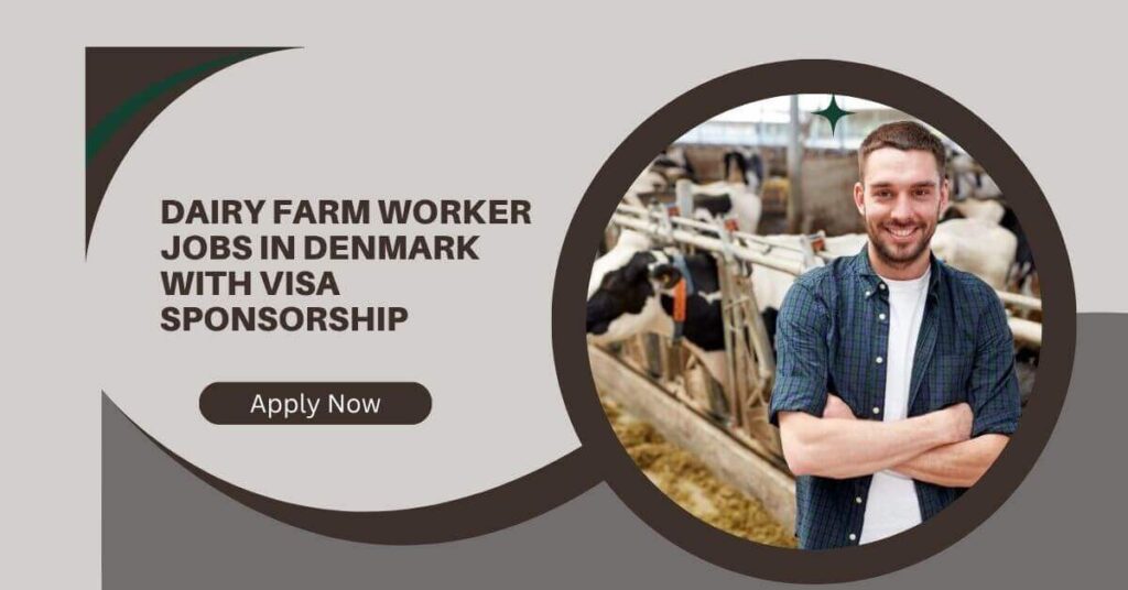 Dairy Farm Worker Jobs in Denmark with Visa Sponsorship
