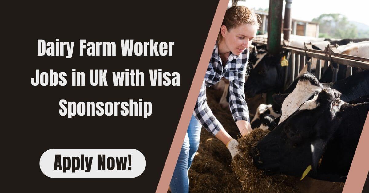 Dairy Farm Worker Jobs in UK