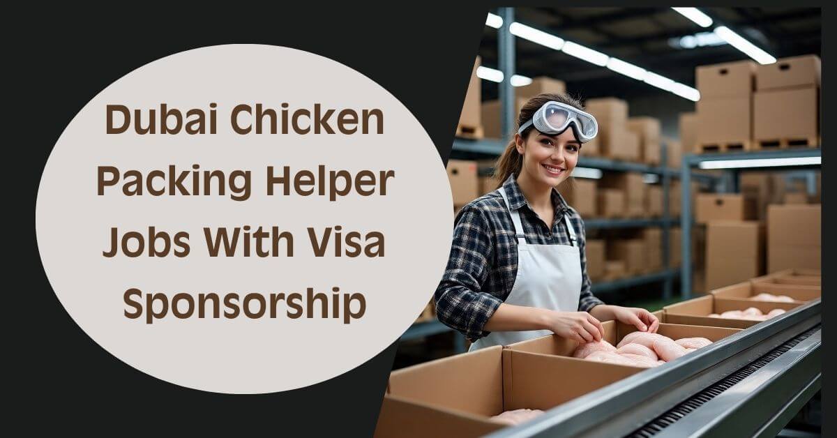 Dubai Chicken Packing Helper Jobs With Visa Sponsorship