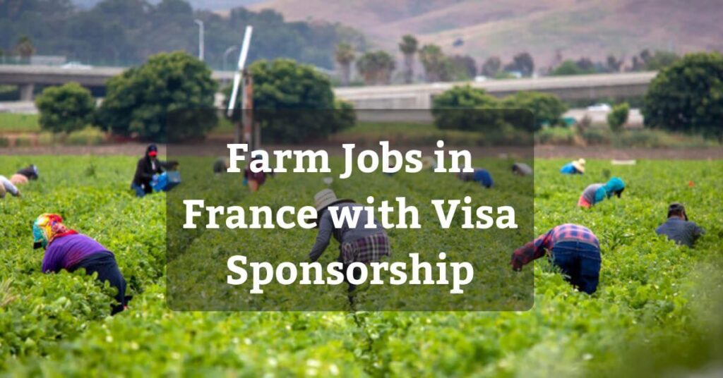 Farm Jobs in France