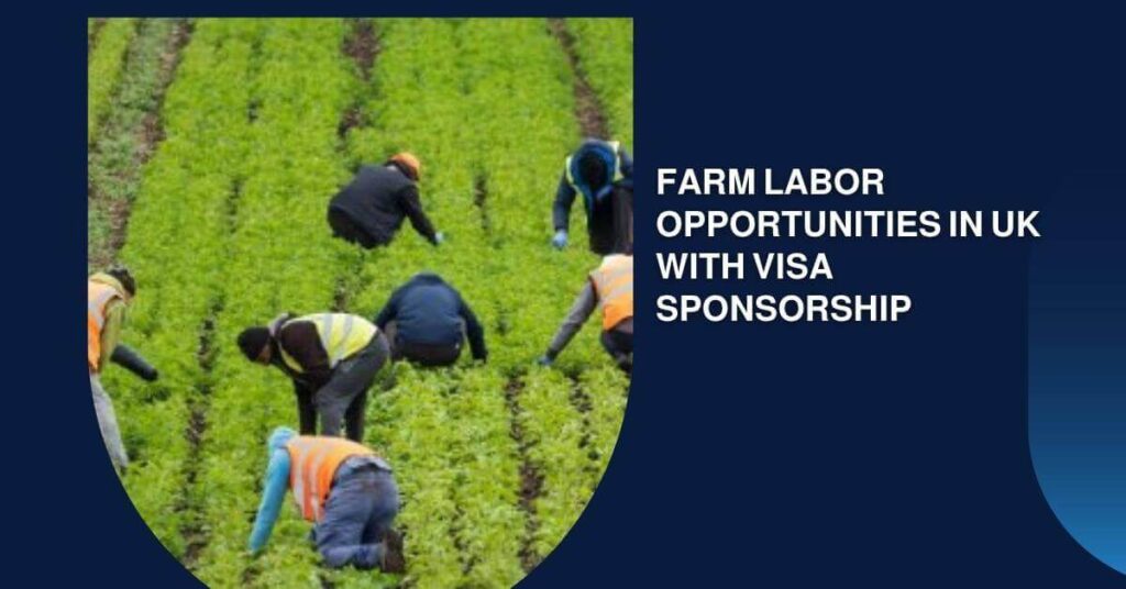 Farm Labor Opportunities In UK