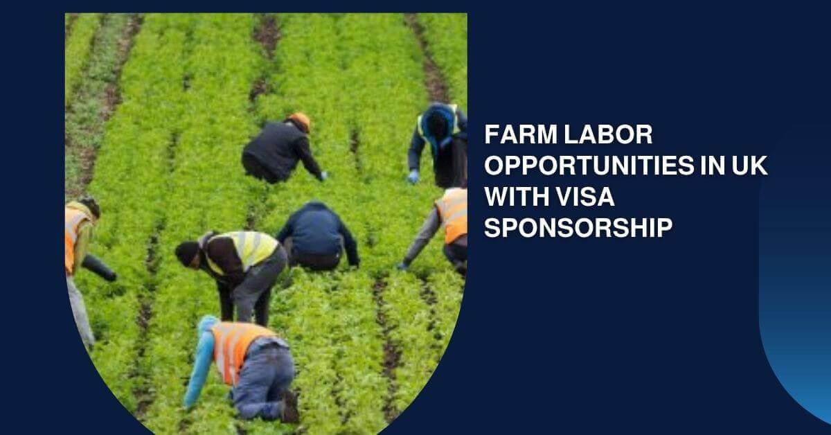 Farm Labor Opportunities In UK