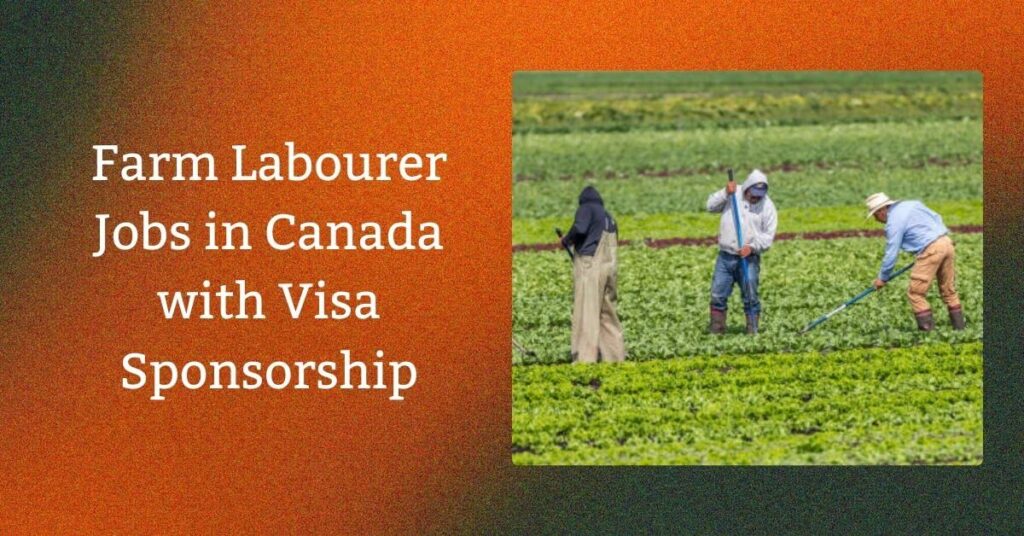 Farm Labourer Jobs in Canada