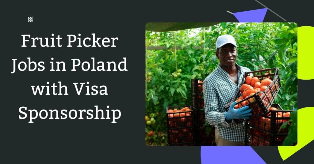 Fruit Picker Jobs in Poland