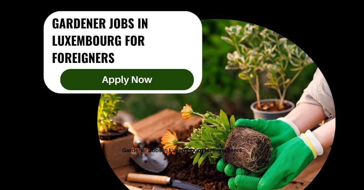 Gardener Jobs in Luxembourg for Foreigners