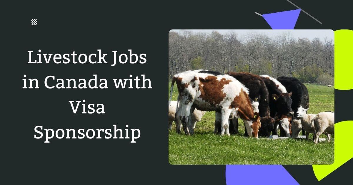 Livestock Jobs in Canada with Visa Sponsorship